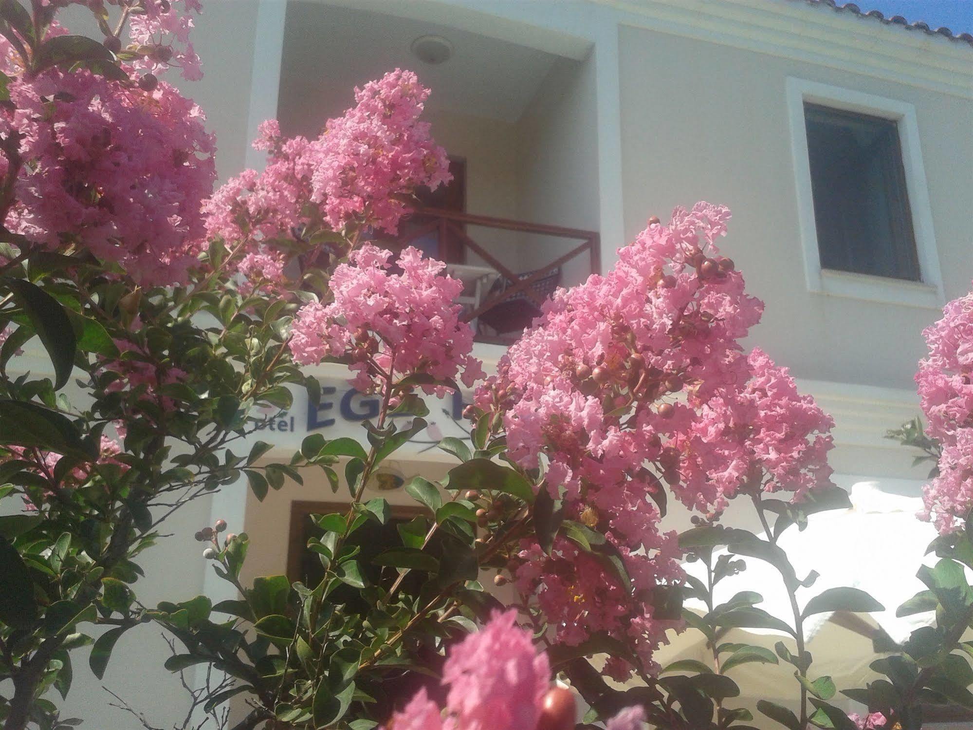 Ege Han Hotel Τένεδος Εξωτερικό φωτογραφία